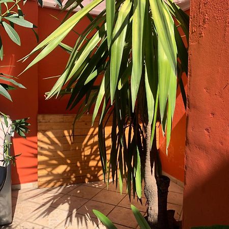 Villa Coyoacan Mexico City Exterior photo