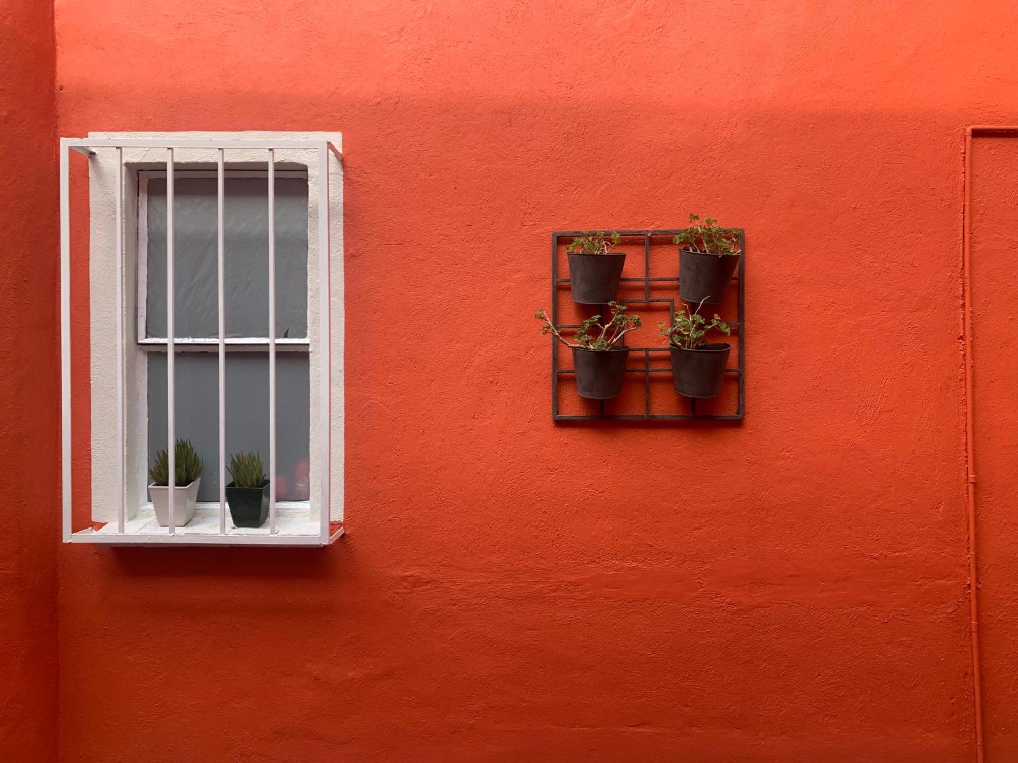 Villa Coyoacan Mexico City Exterior photo