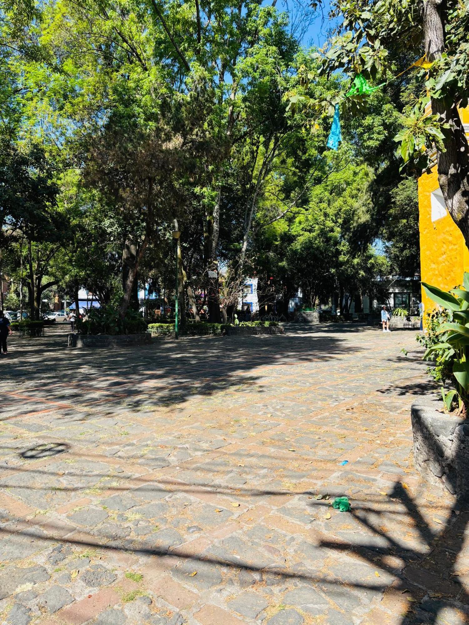 Villa Coyoacan Mexico City Exterior photo